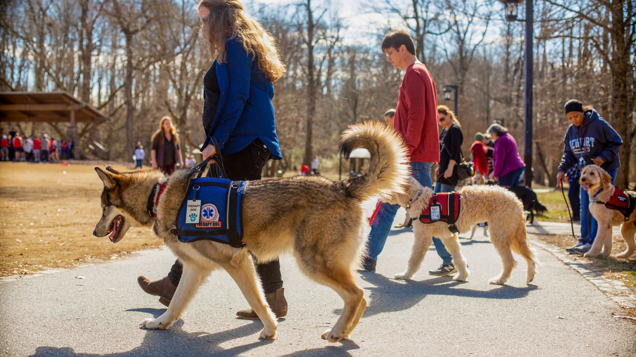 Duffy, Finn and Beowulf practice skills and commands during a weekend clinic led by trainer Kimberly Brenowitz at East Cobb Park.