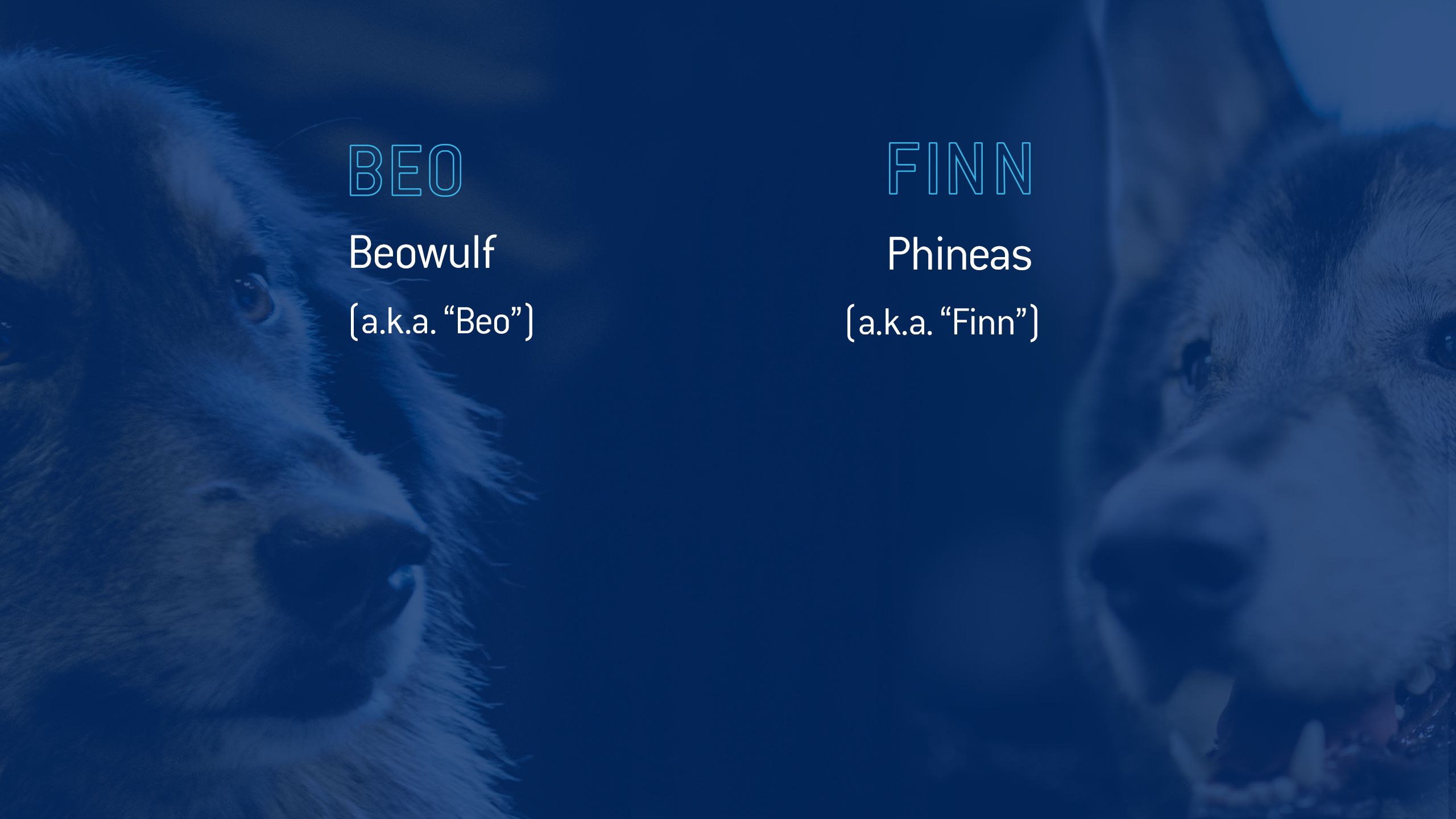 Beowulf aka "Beo" Phineas aka "Finn"