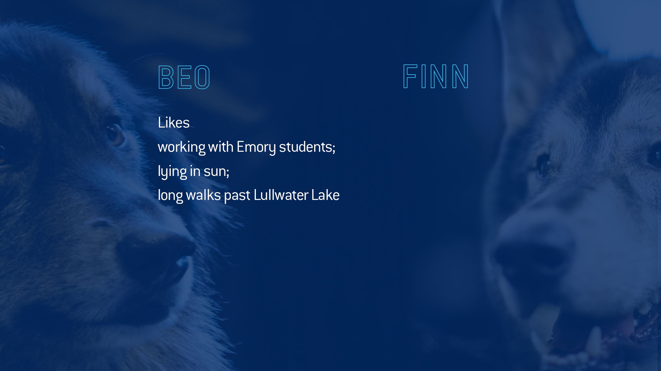 Beowulf likes working with Emory students; lying in sun; ong walks past Lullwater Lake