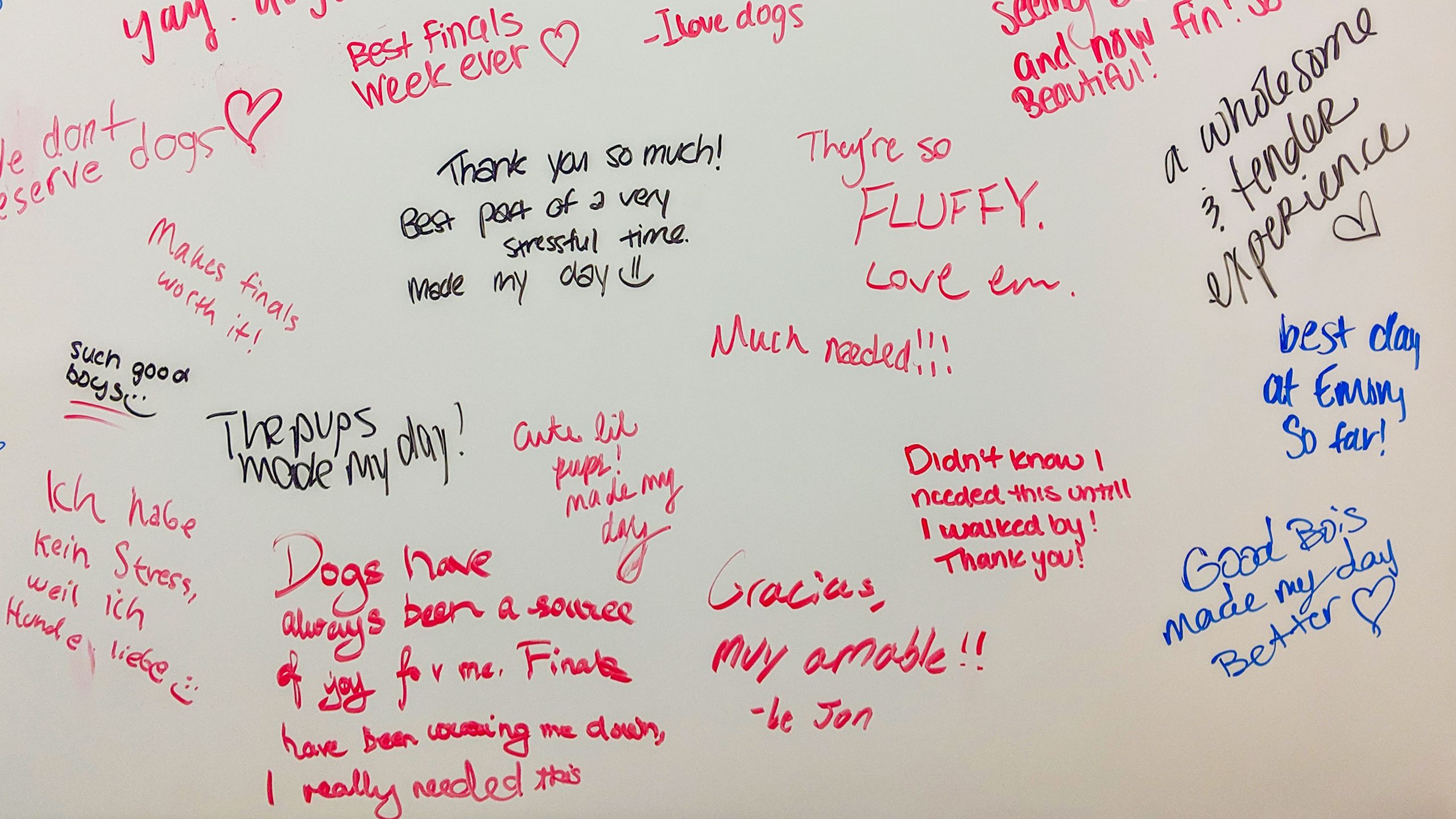 Students describe their experiences on a white board after attending a Fall 2018 pet therapy break at Emory's Woodruff Library.