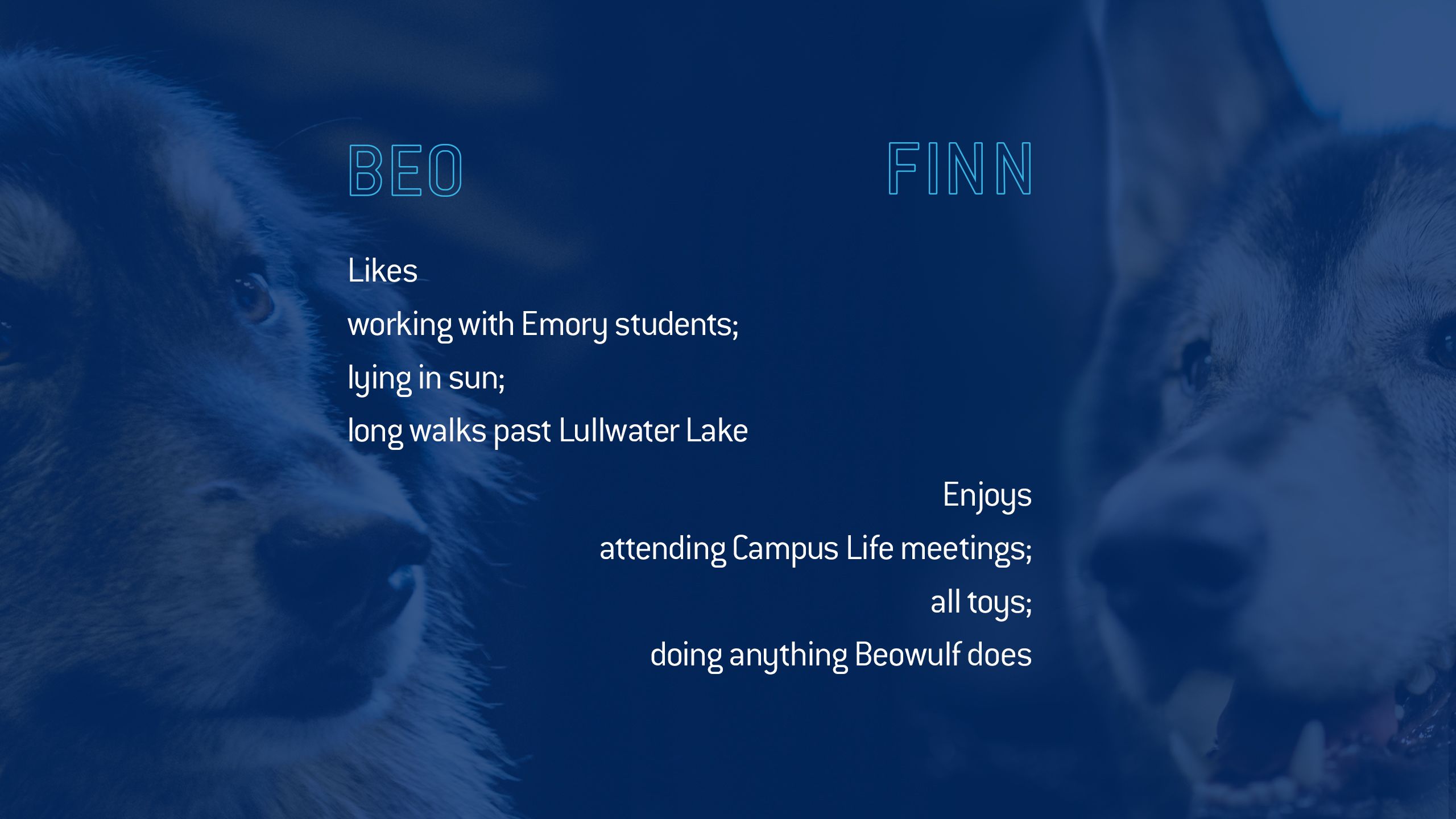 Finn enjoys attending Campus Life meetings; all toys; doing anything Beowulf does