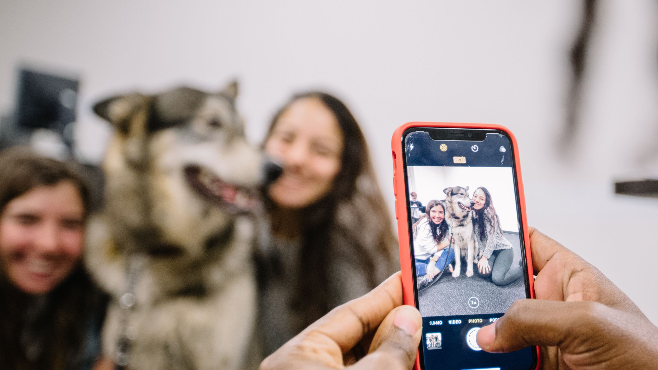 Students pose for photo with Finn on phone camera