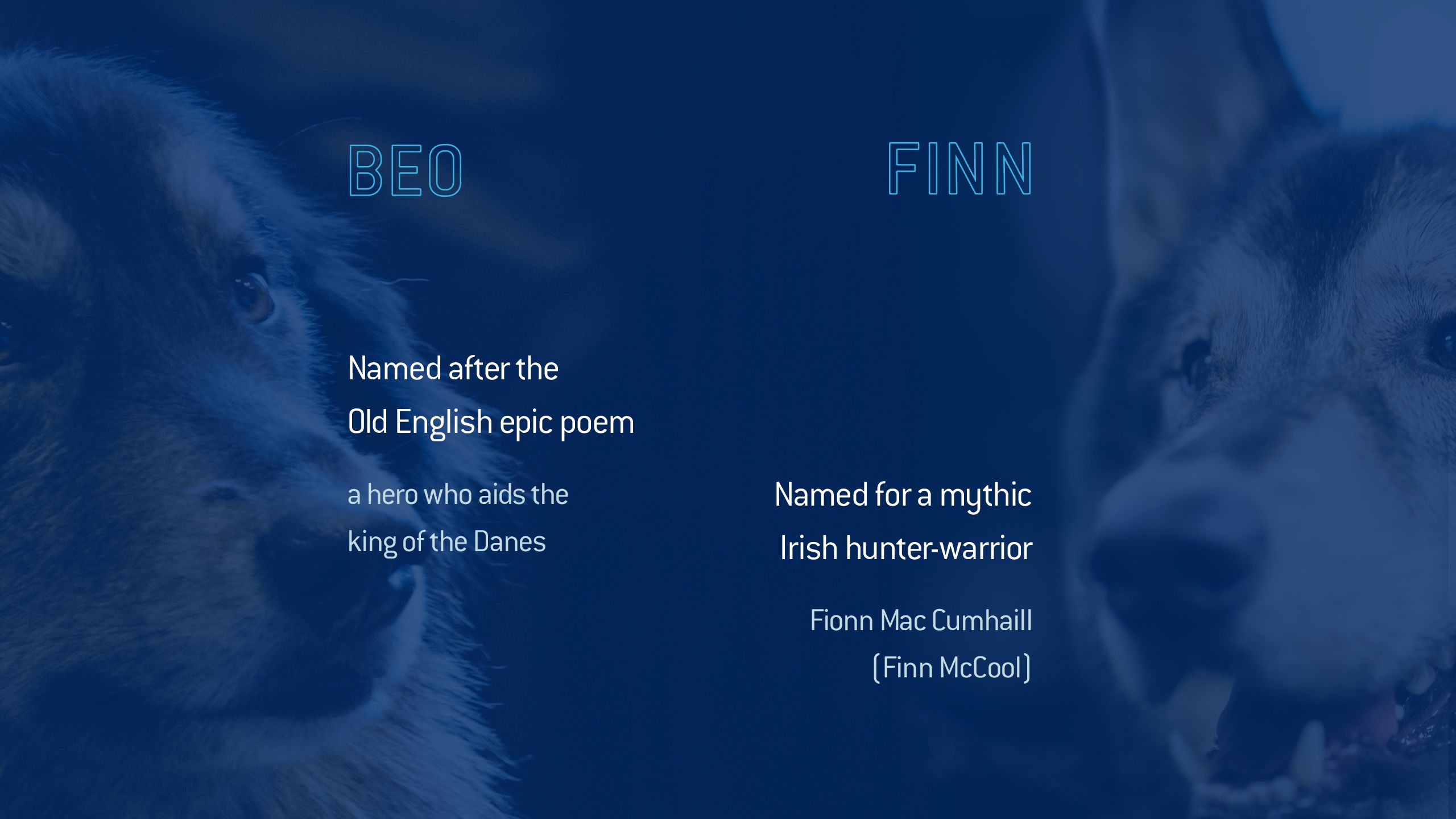 Finn named for a mythic Irish hunter-warrior Finonn Mac Cumhaill Finn McCool