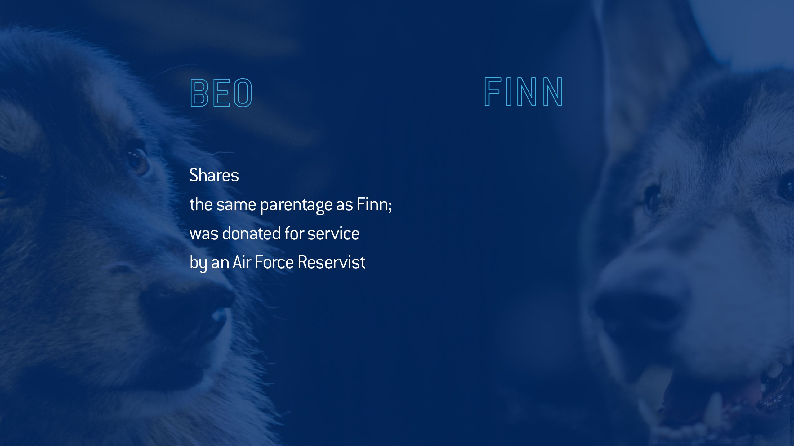 Beowulf shares the same parentage as Finn; was dontated for service by an Air Force Reservist