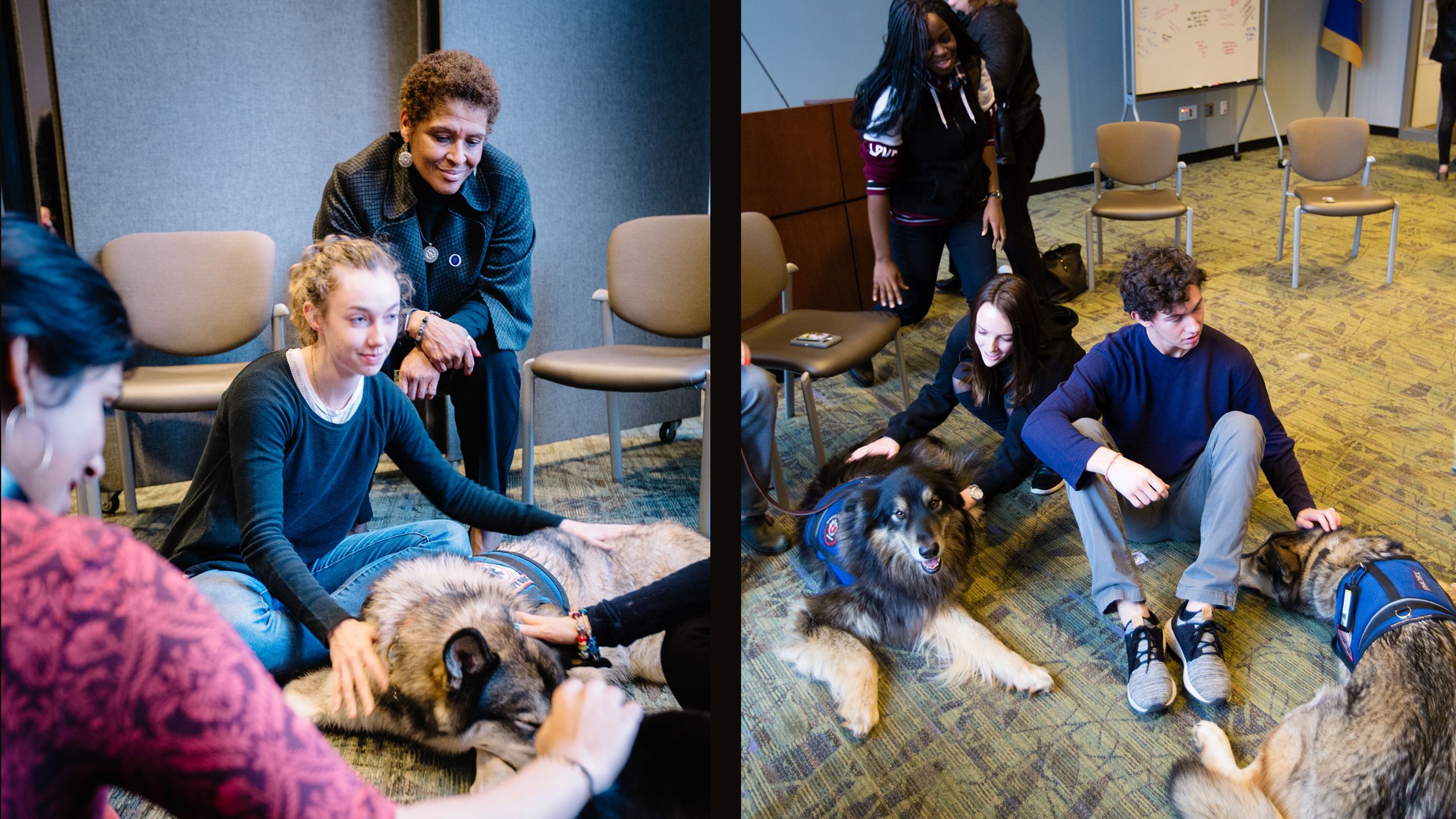 University Librarian Yolanda Cooper watches students visit Beowulf and Finn during a Fall 2018 study break hosted by Emory's Woodruff Library.