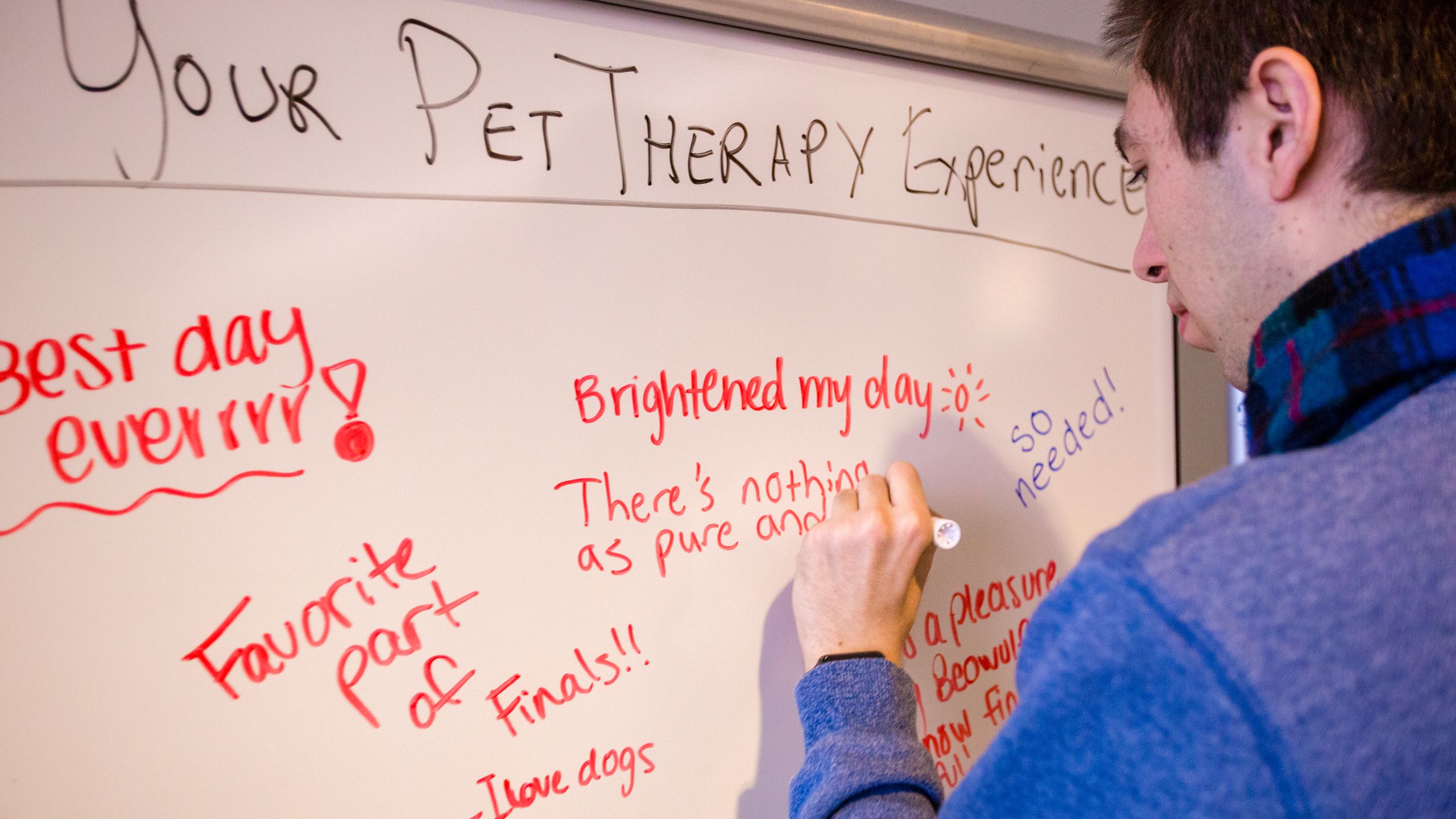 Students describe their pet therapy experience on a white board following a Fall 2018 study break at Emory's Woodruff Library.