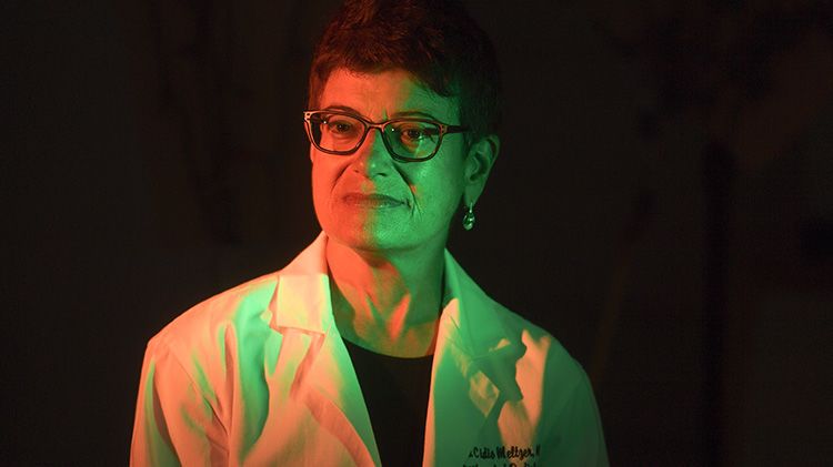 A portrait of Emory radiology chair Carolyn Meltzer in dramatic lighting.