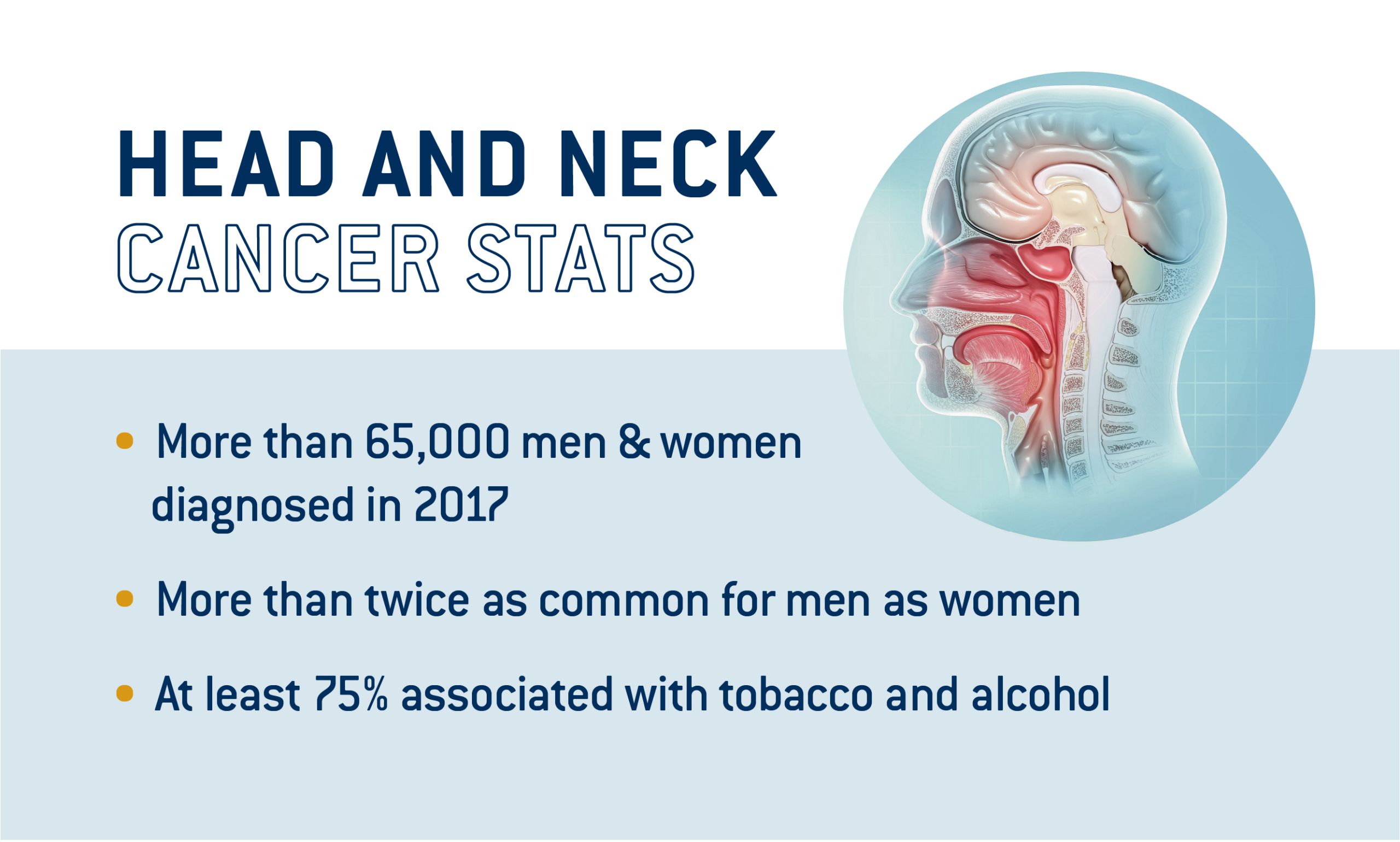 HEAD AND NECK CANCER Statistics from the National Cancer Institute: 1. more than 65 thousand men and women were diagnosed in 2017; 2. more than twice as common for men as for women; 3. at least 75 percent are associated with tobacco and alcohol. 