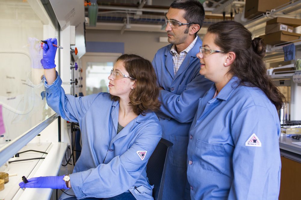 Members of the lab at work.