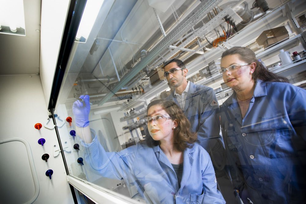 Members of the lab at work.