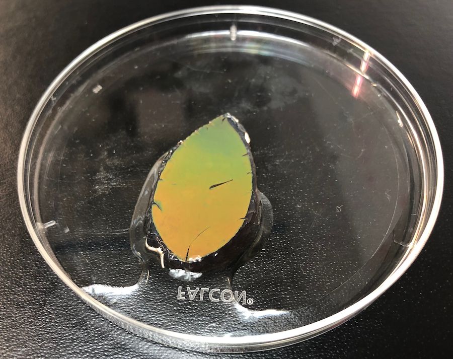 A sample of the smart skin.