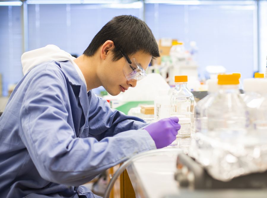 Yixiao Dong at work in the lab