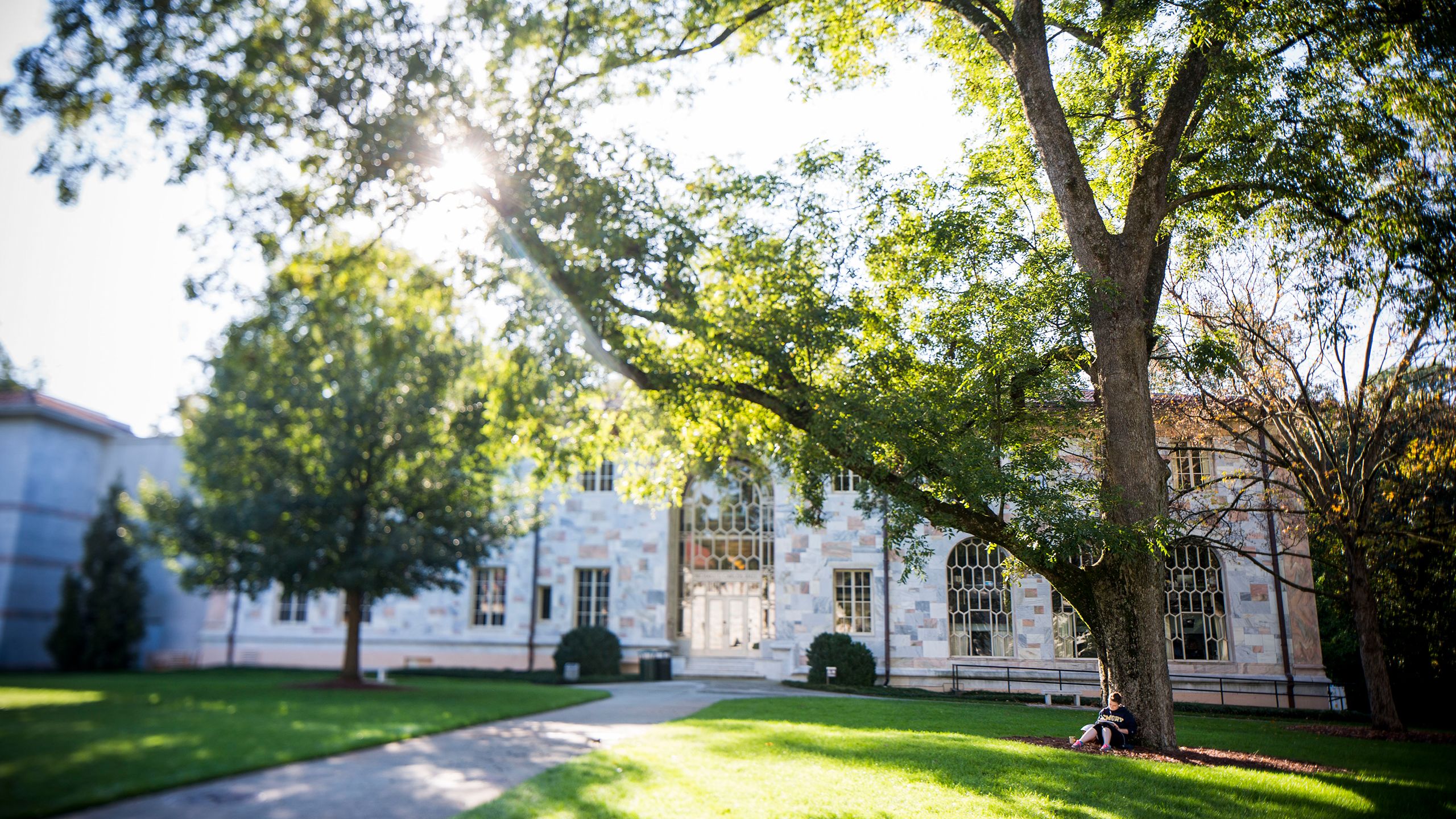 Emory University's Carlos Museum