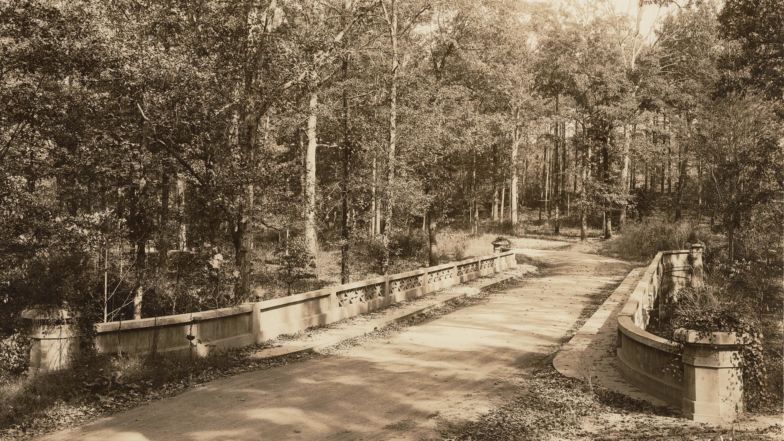 black and white photo of bridge leading to woods