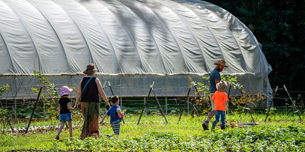 From Farms to Emory Tables