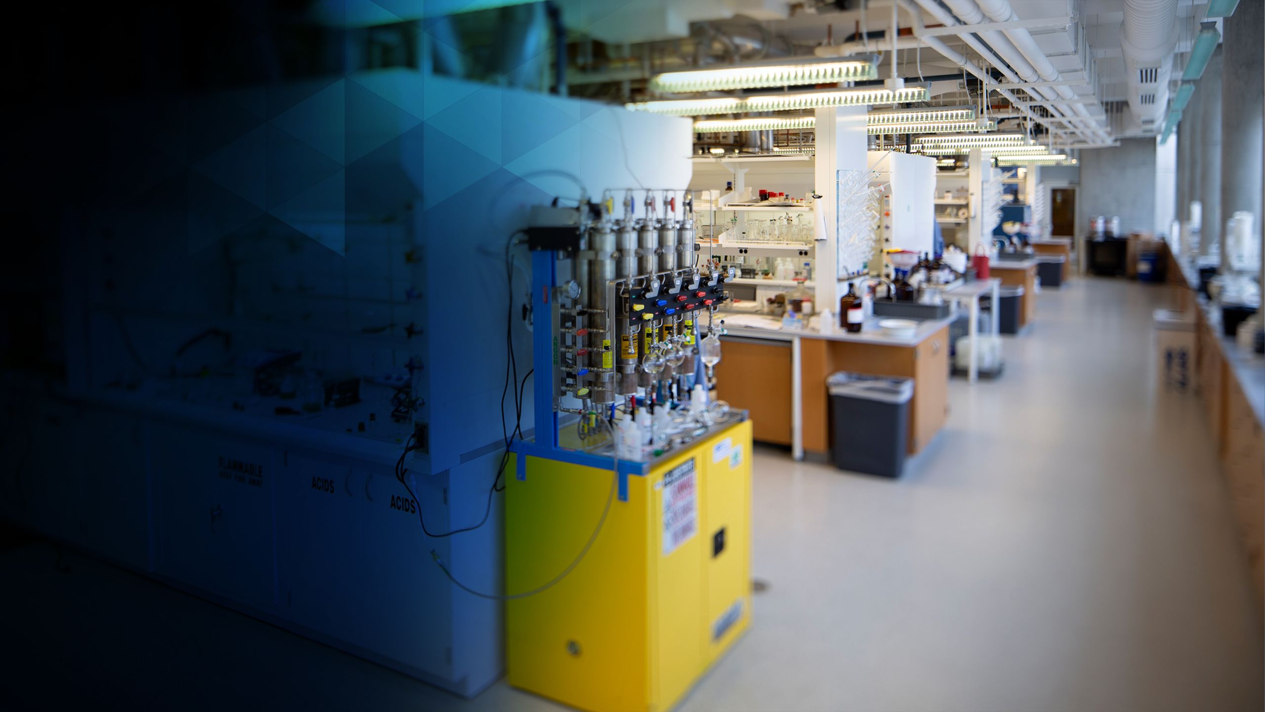 Emory Lab