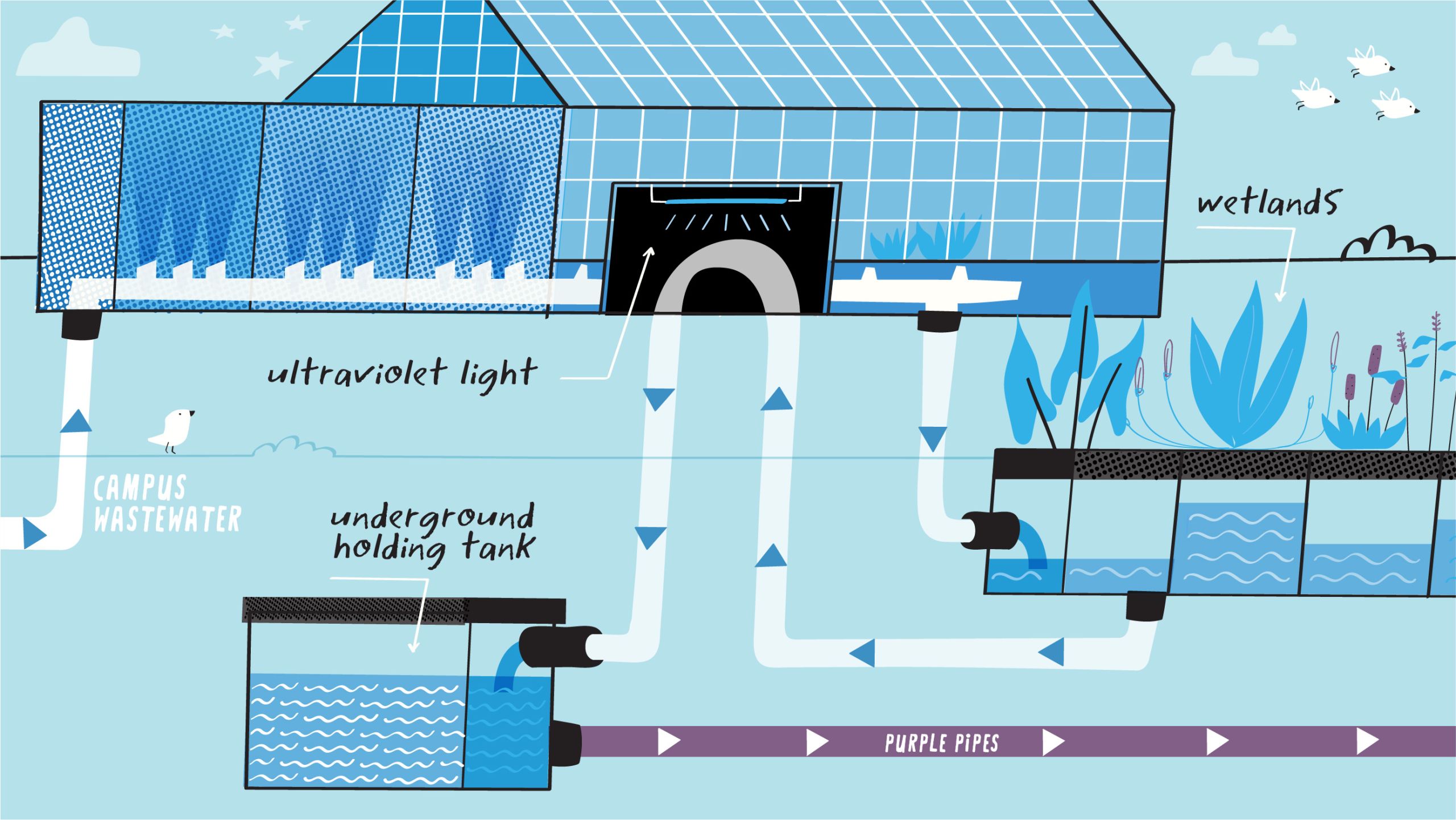 illustration of Emory's WaterHub ultraviolet washing