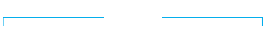 The Emory University shield logo