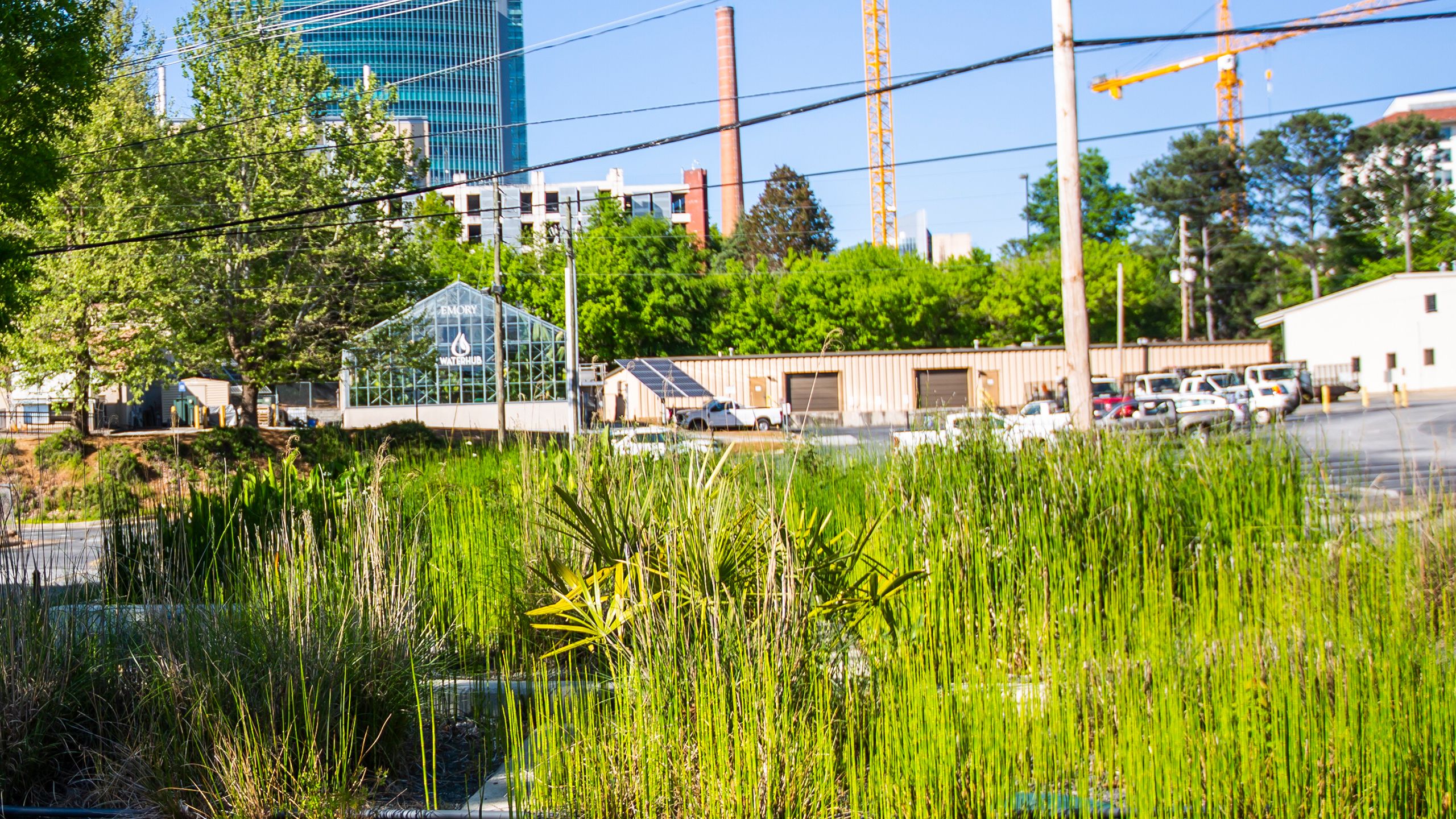 Emory WaterHub green house exterior