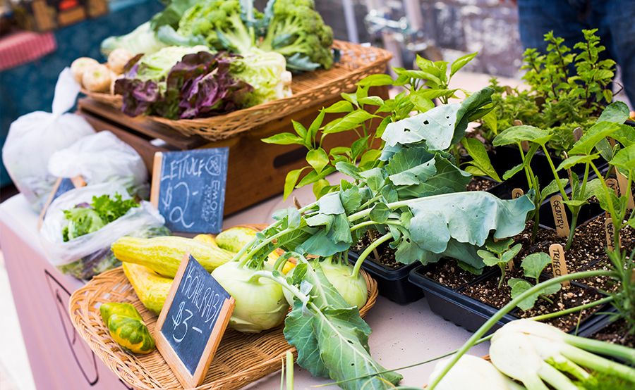 vegetables for sale at Emory's organic farmers market