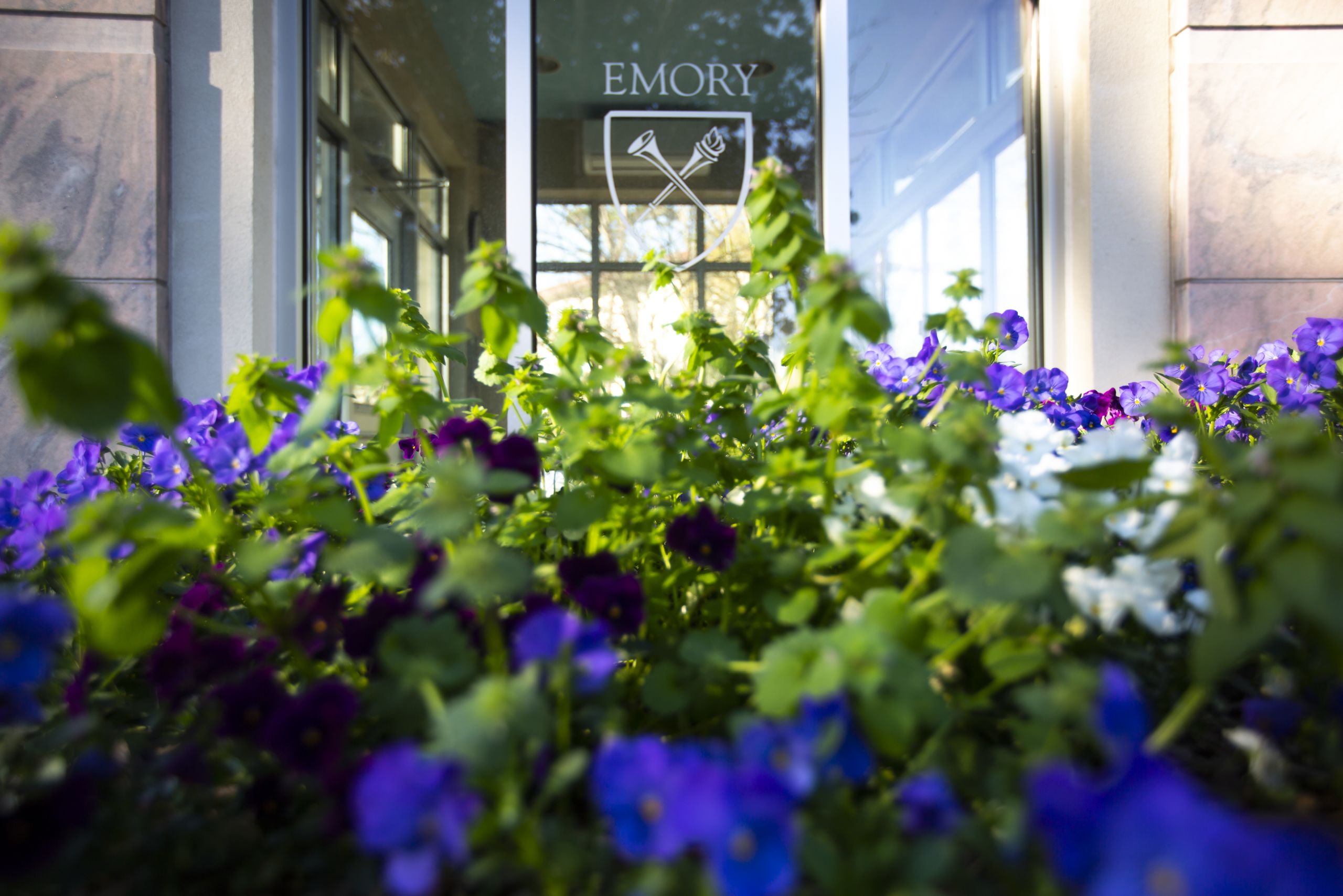 The Emory shield on a window with flowers growing in the foreground