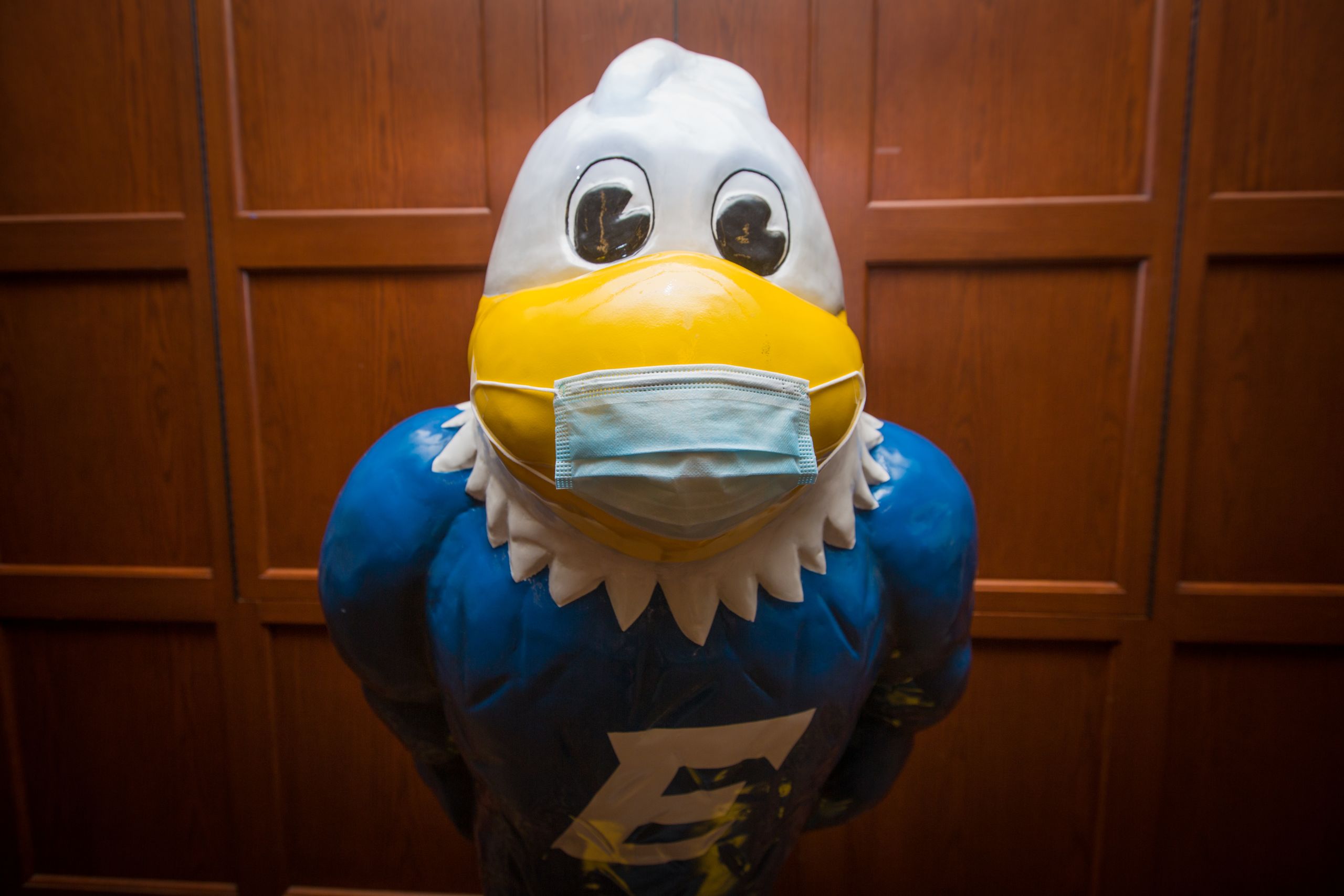 A statue of Emory's eagle mascot, Swoop, wears a face covering.