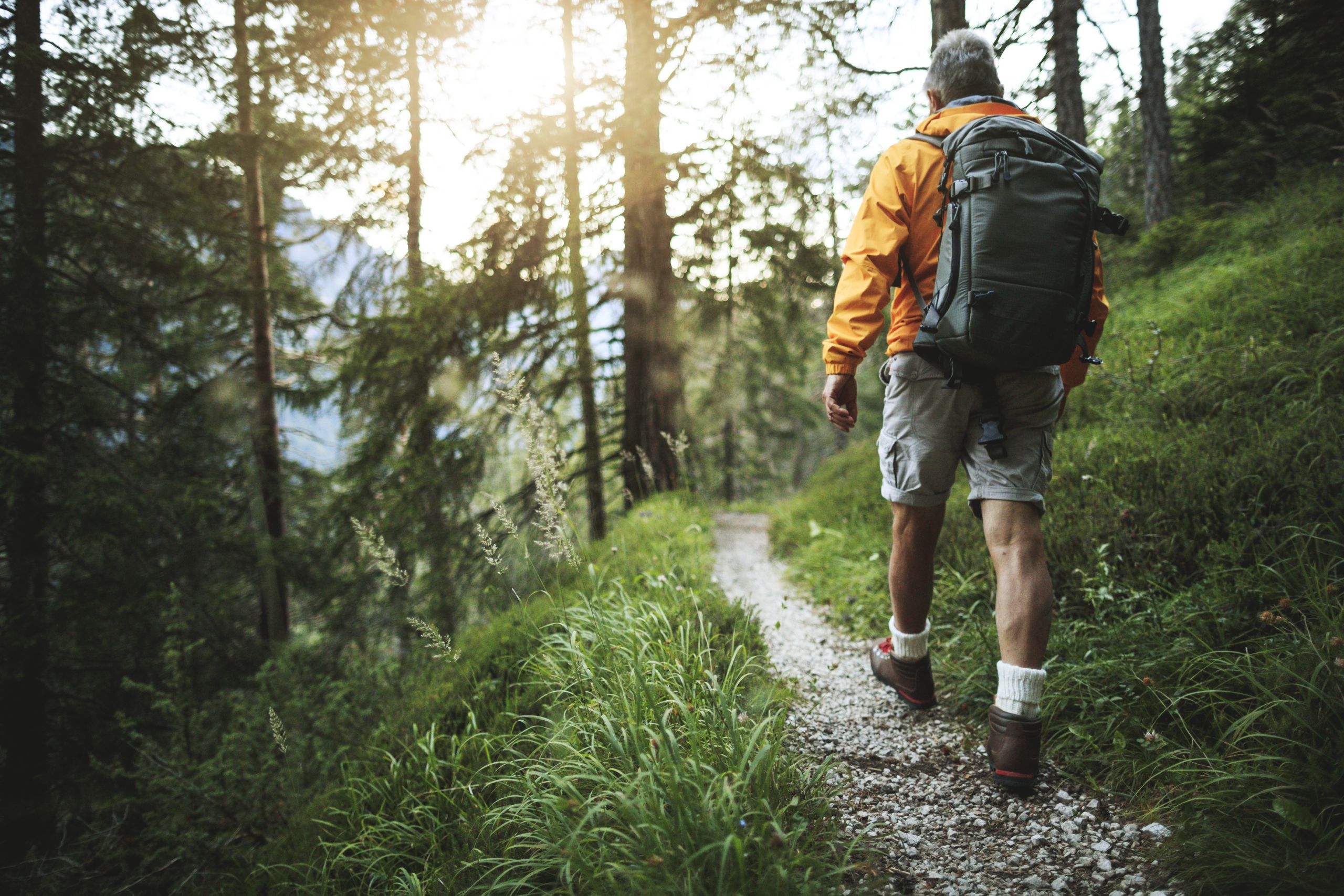 A man hiking through the woods.