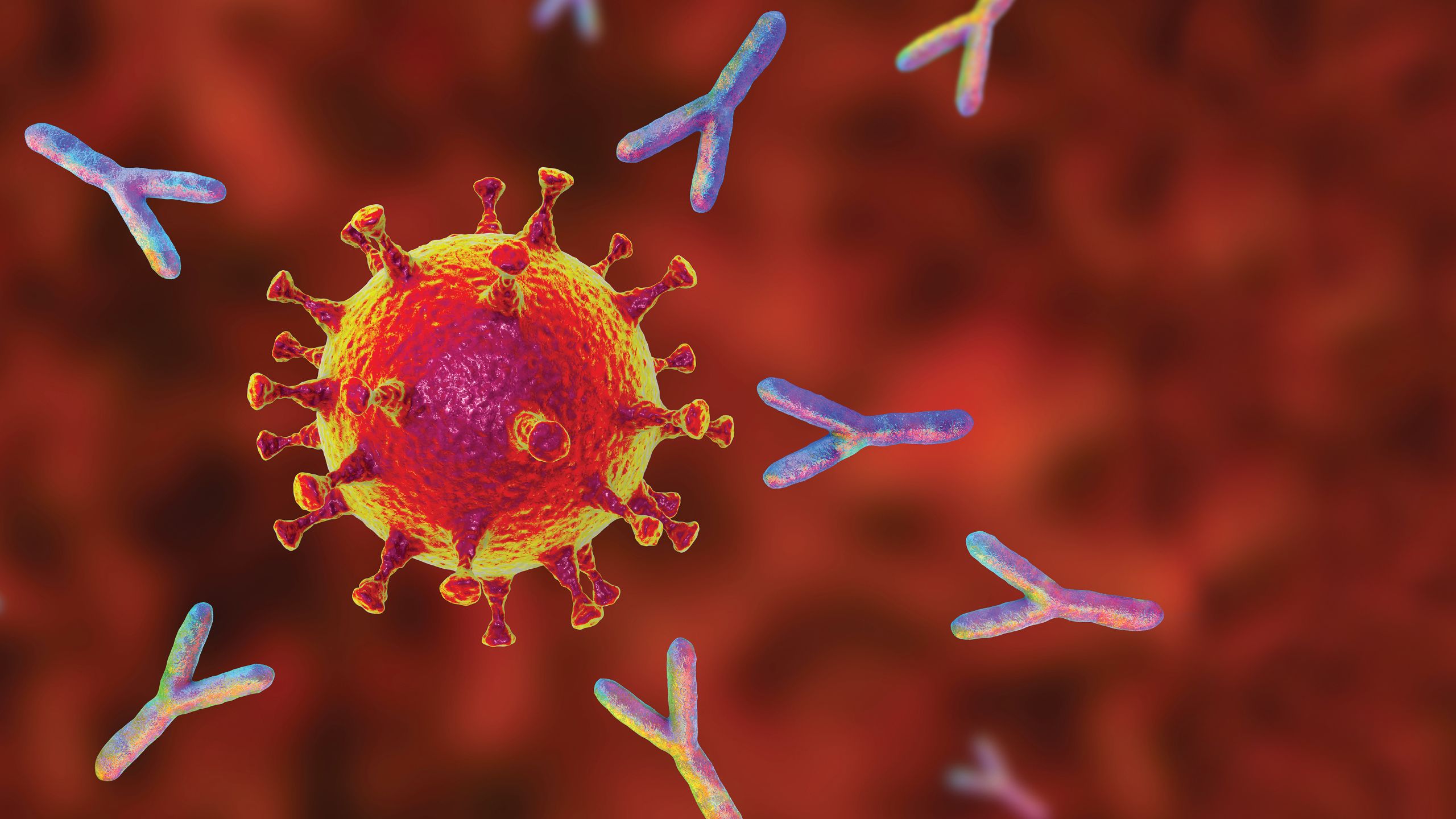 a medical illustration showing antibodies attacking a corona virus.