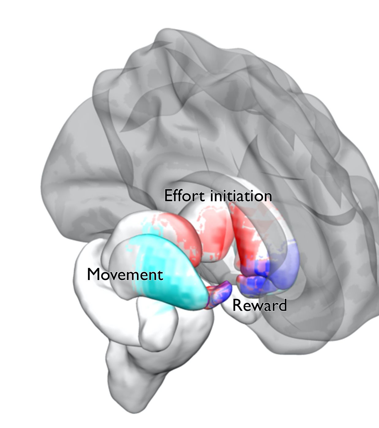 A diagram showing the results.