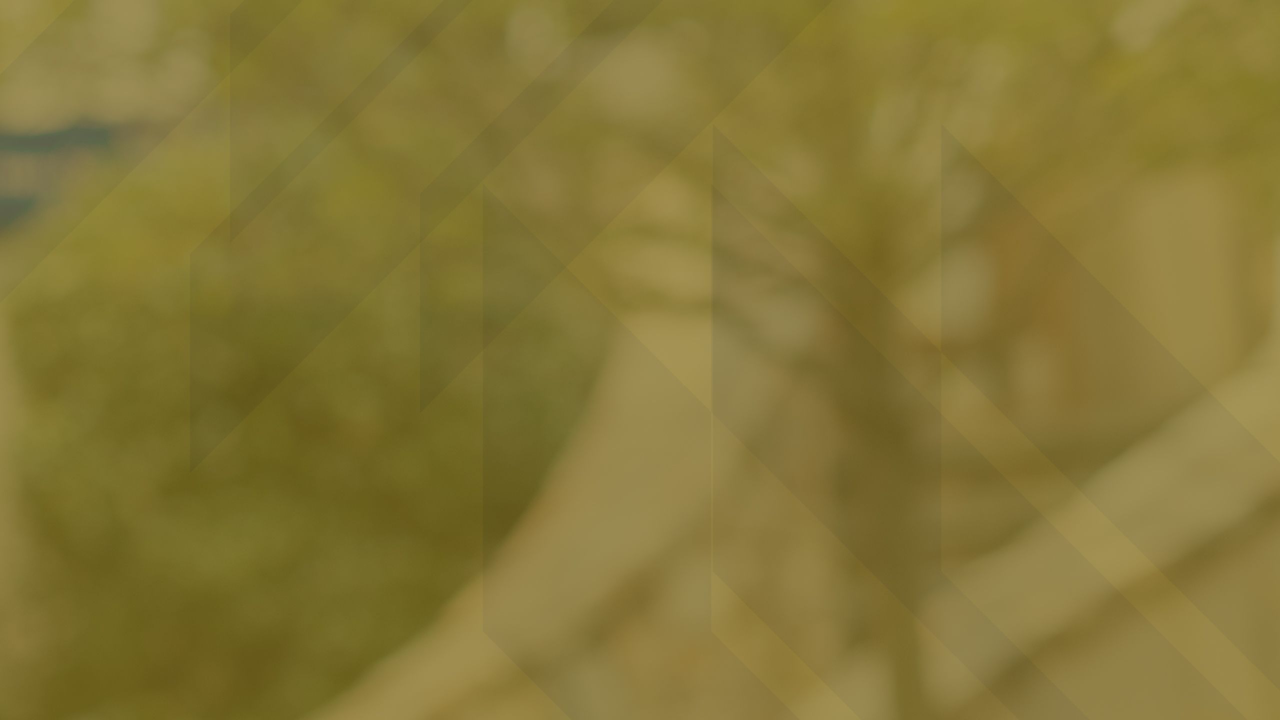 garden background image