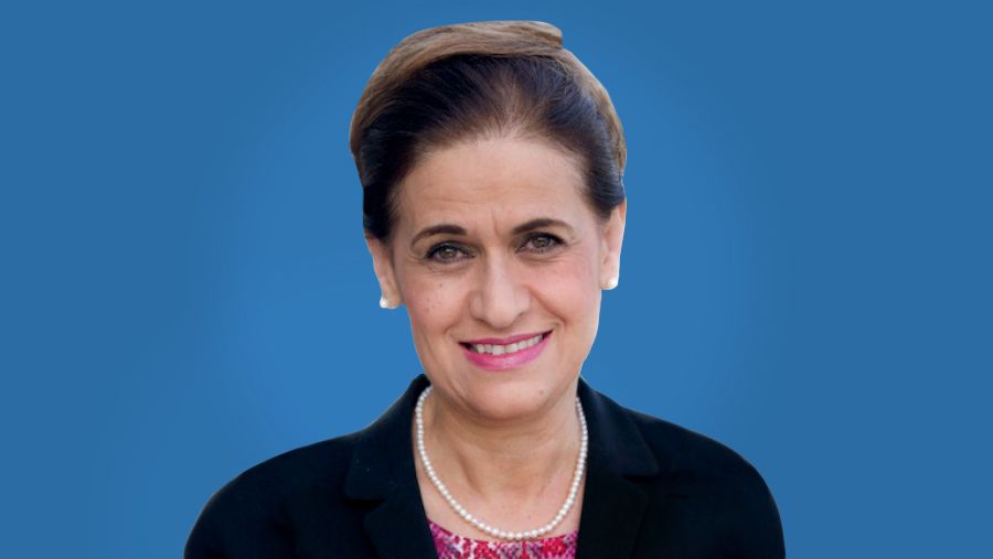 a headshot of taroub harb faramand.
