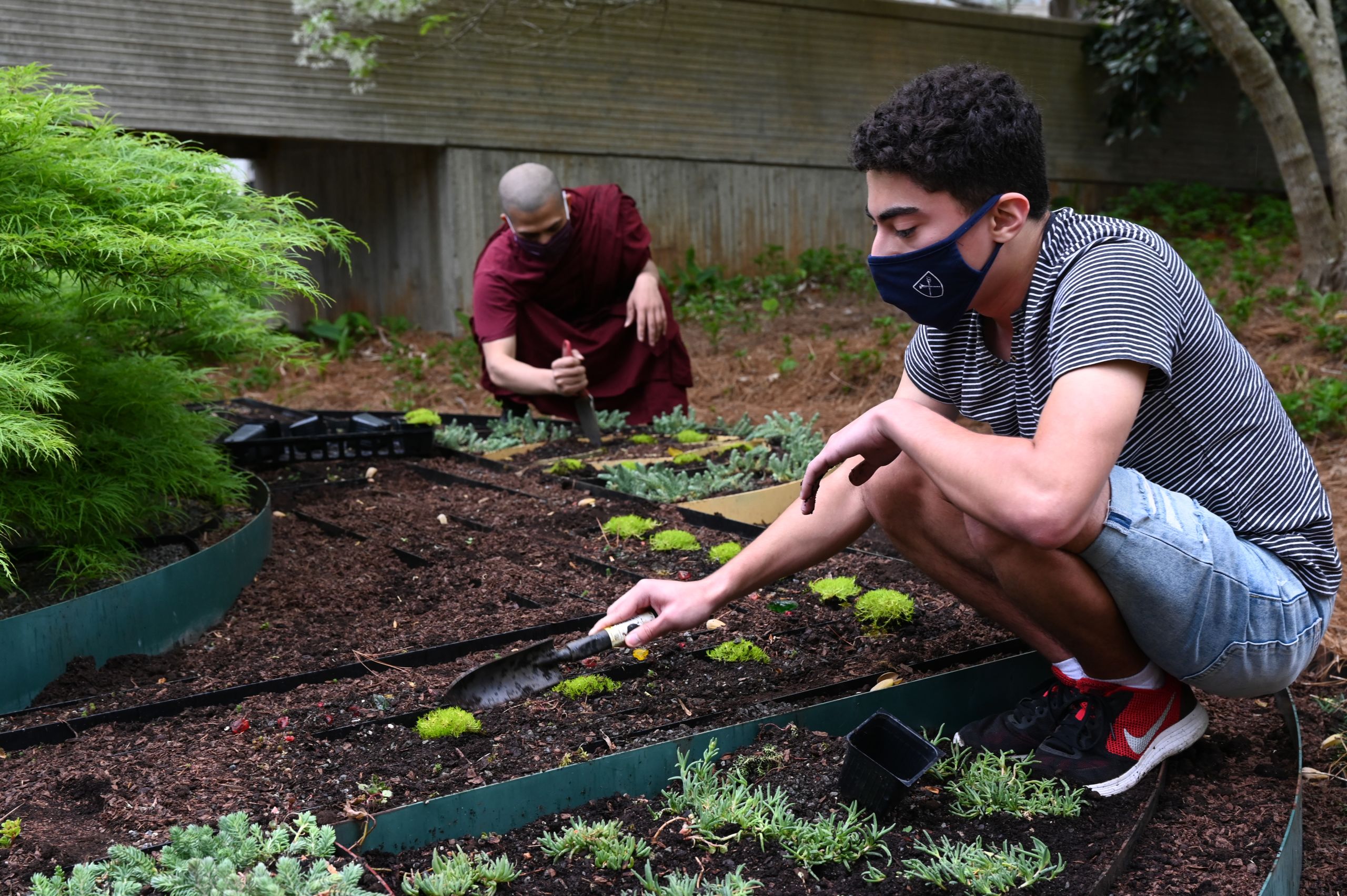 A student wearing an Emory face covering digs dirt in the living mandala