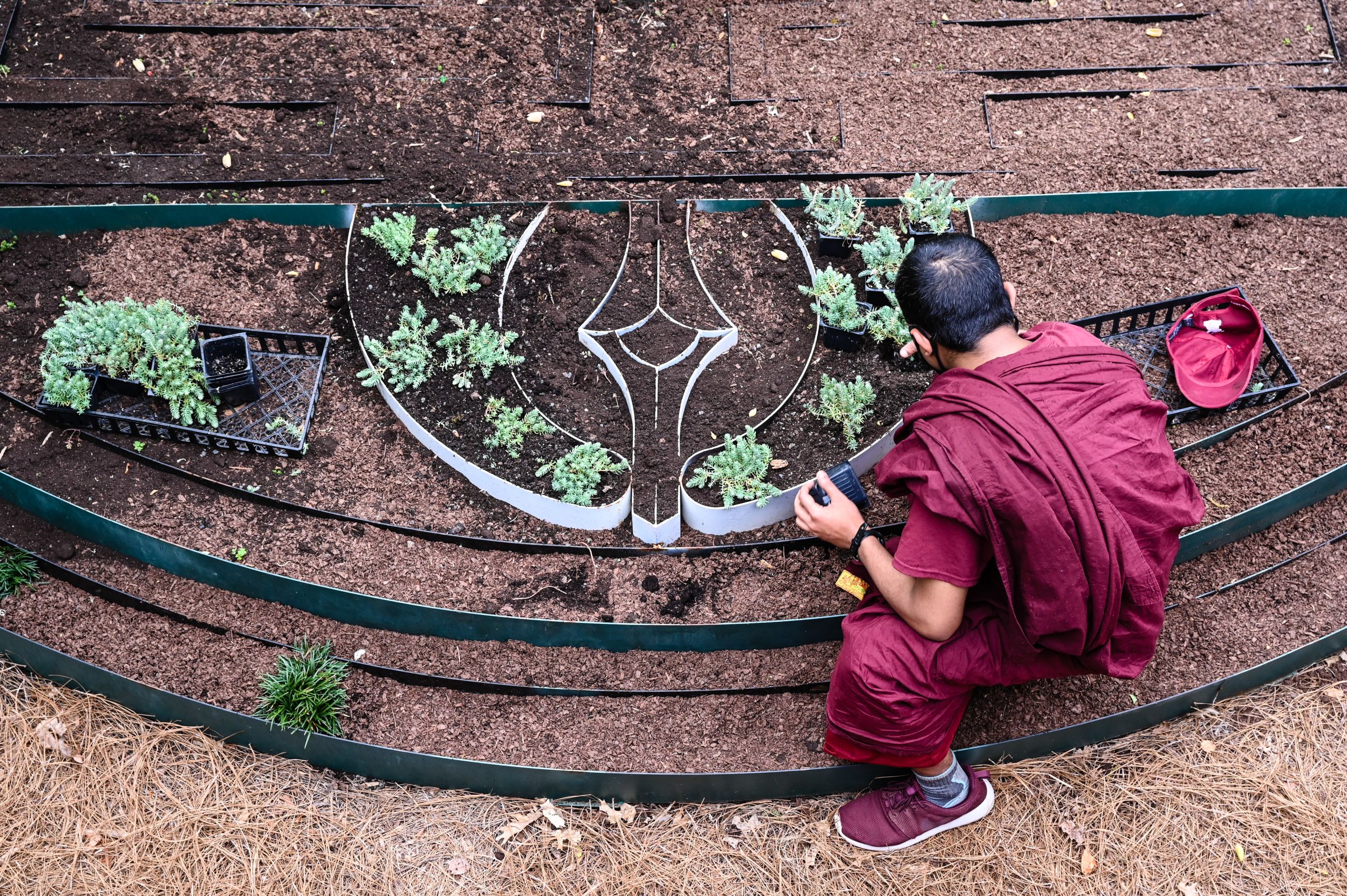 a man plants plants near the edge of the mandala