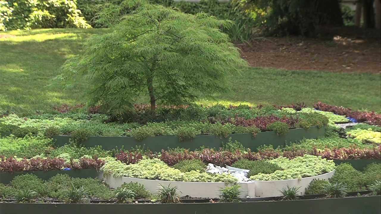 A lush green living mandala with plants overflowing the borders