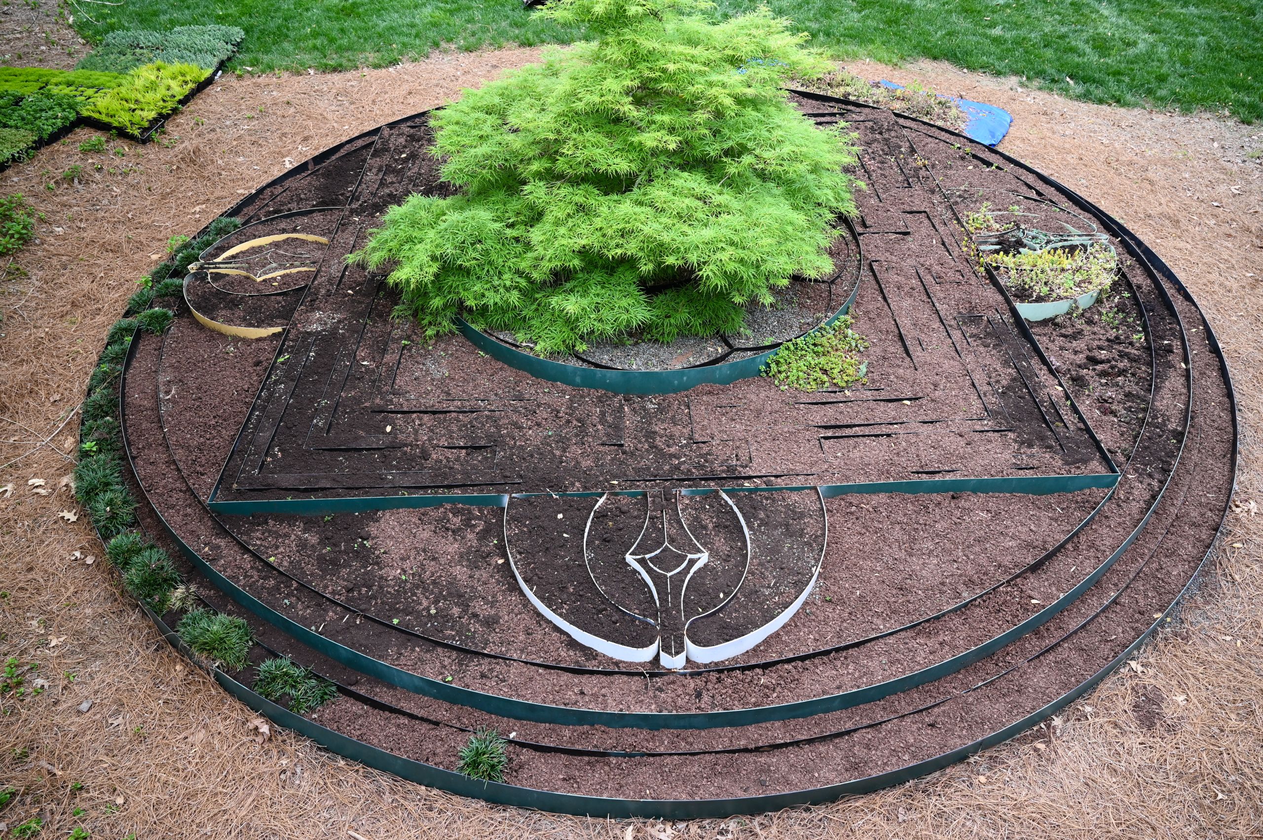 An image of the mandala with weeds removed and a few plants visible