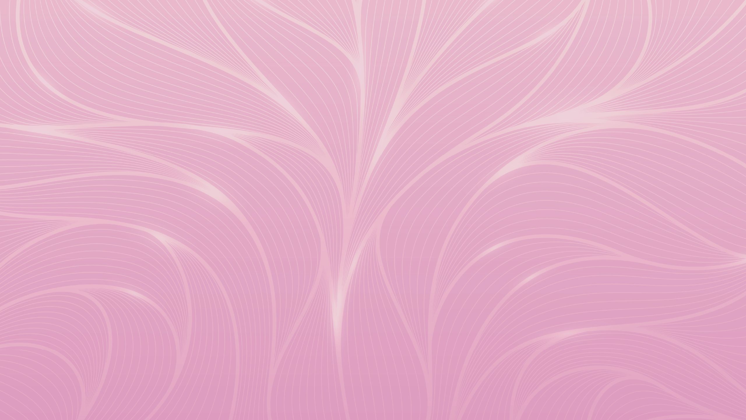 decorative image
