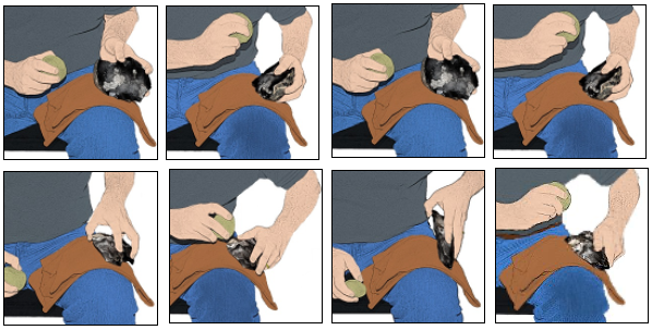 Steps in the process of Stone Age tool making.
