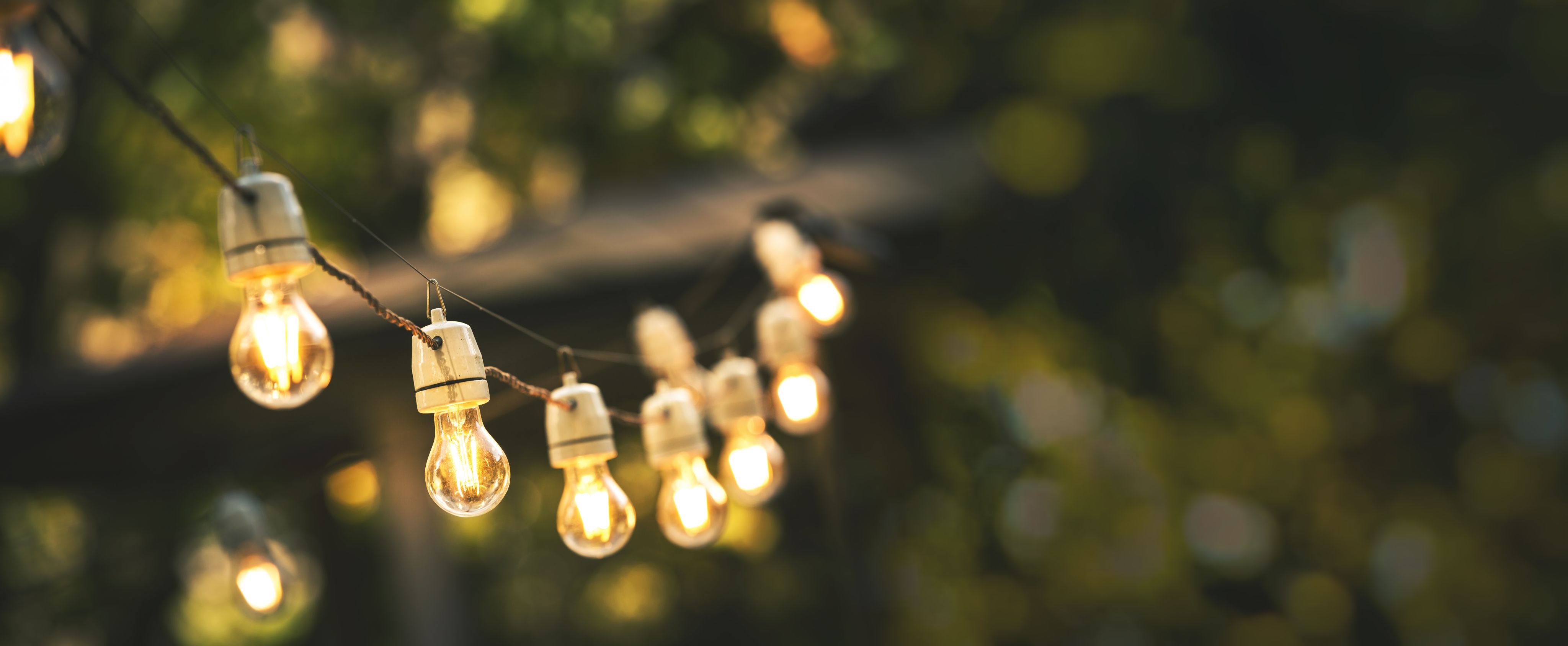 a blurred image of warm string lights and a green background