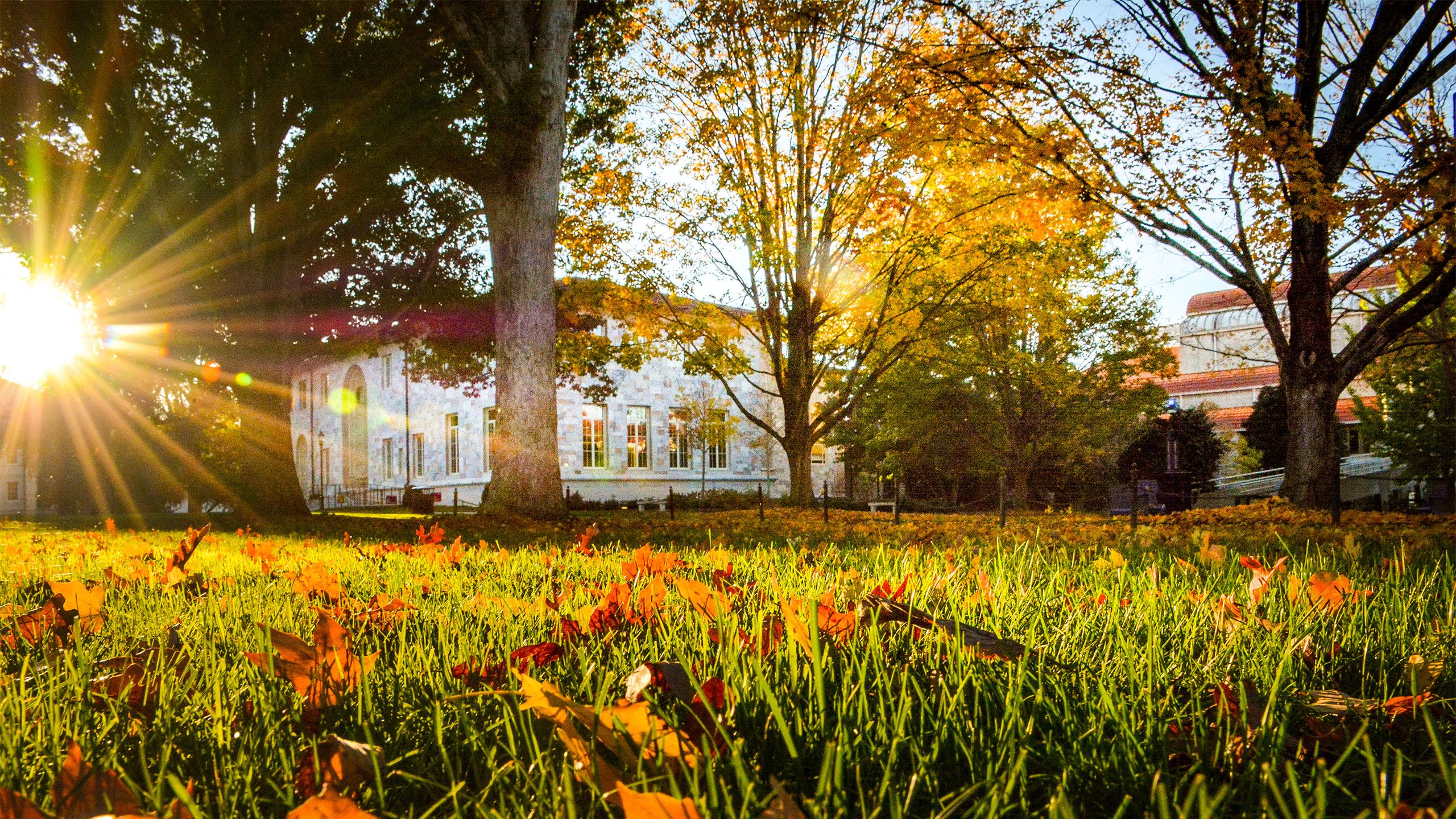 Emory's main campus at sunset with fall leaves