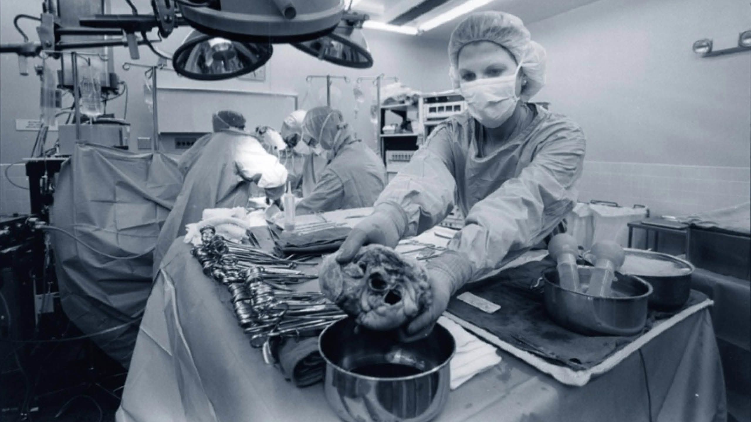 Photo of person holding the replacement heart prior to implantation with surgery in progress in the background.