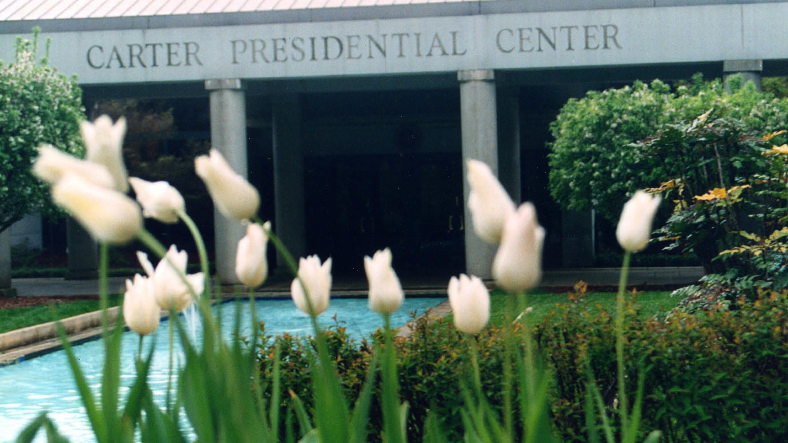 Close-up image of Carter Presidential Center with white tulips in the foreground