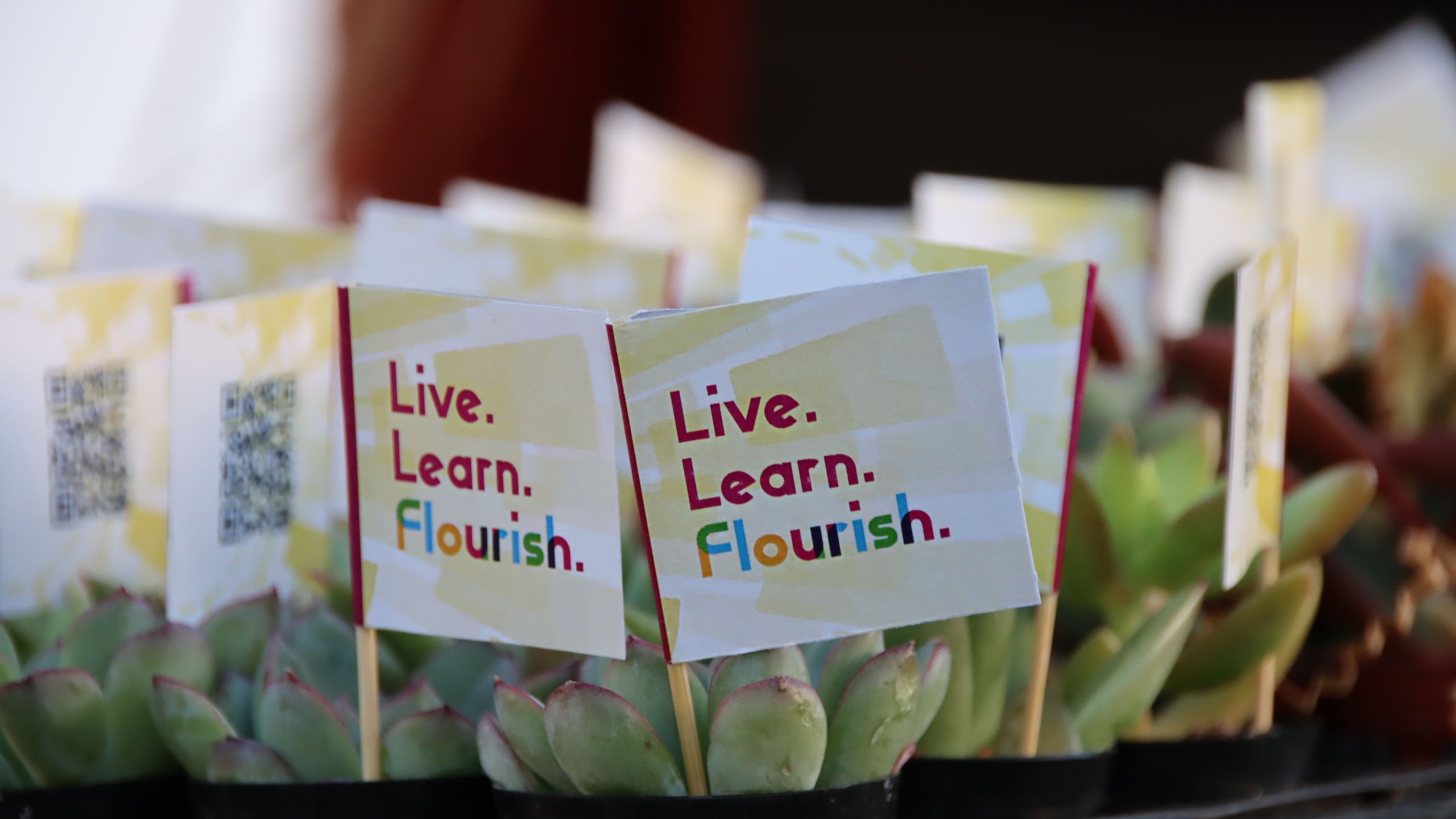 Small pots with succulents and signs that read "Live. Learn. Flourish."
