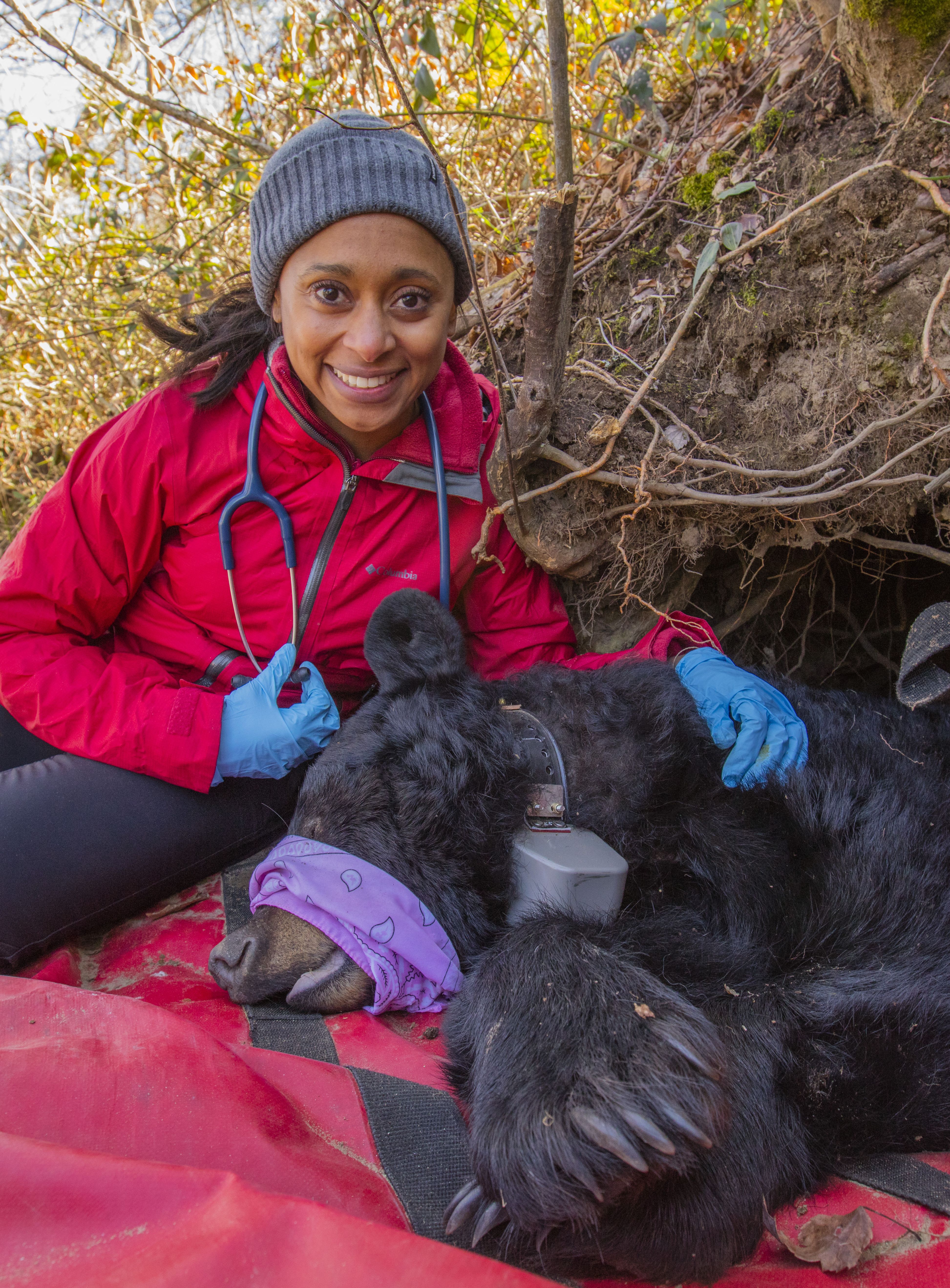 Rae Wynn-Grant shown tagging a bear