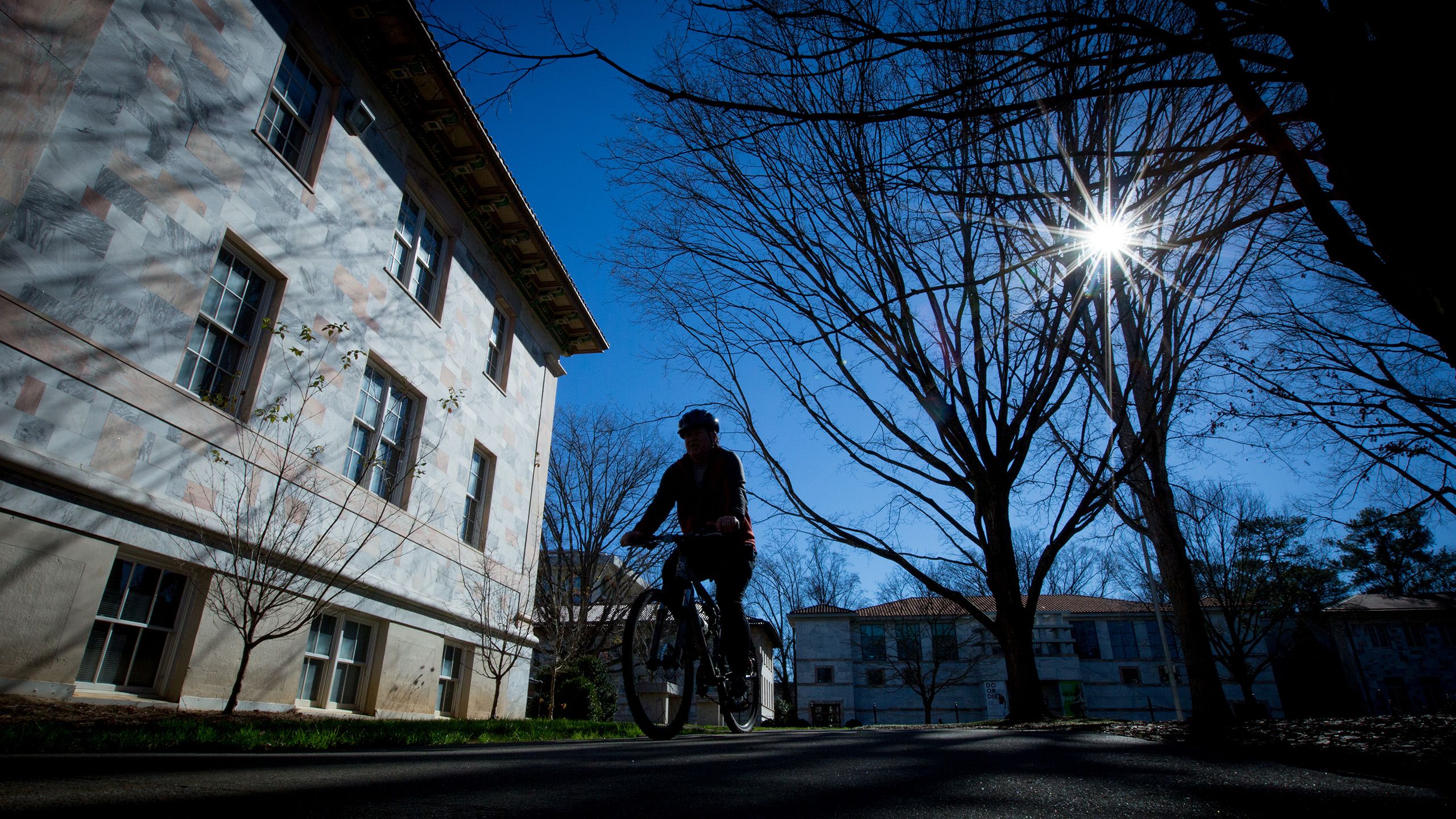 The Emory Quad with sun shining through the trees