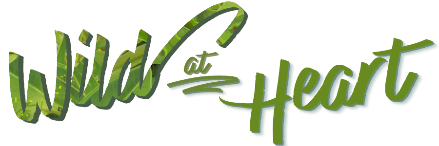 headline "Wild at Heart"