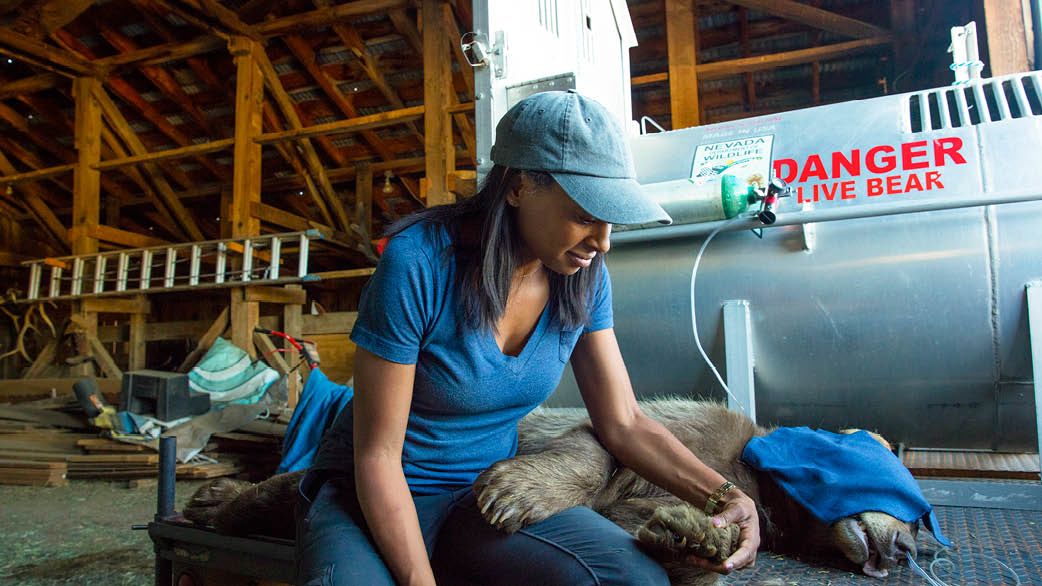 Photo of Wynn-Grant sitting next to a bear who is lying prone