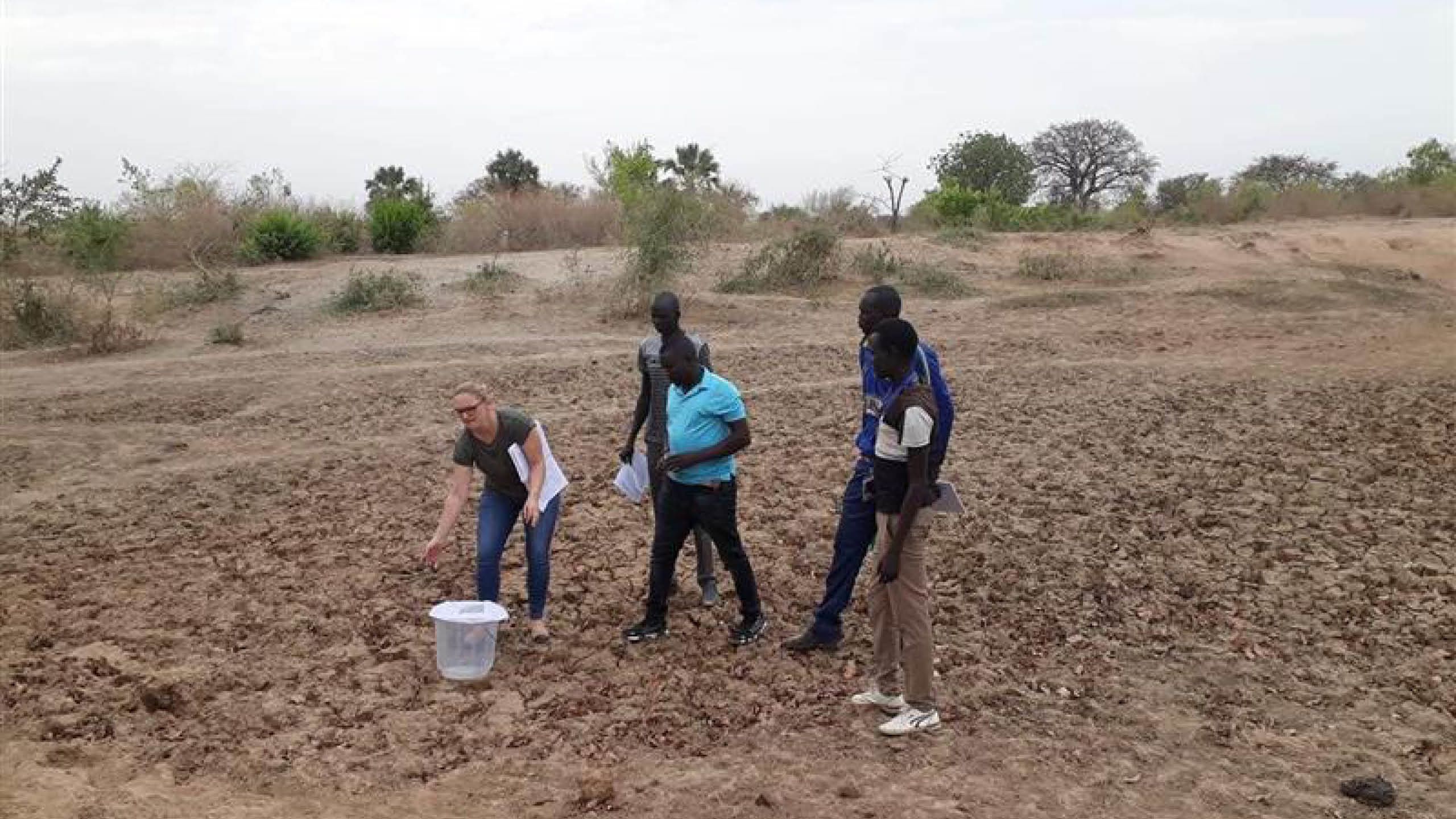 A white woman stoops to pick up a white bucket in the middle of a muddy filed. Four black men stand behind her. 