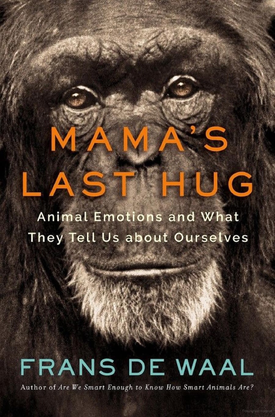 The cover of the book "Mama's Last Hug."