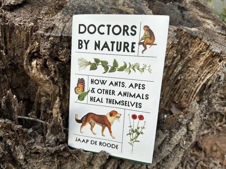"Doctors by Nature" book cover