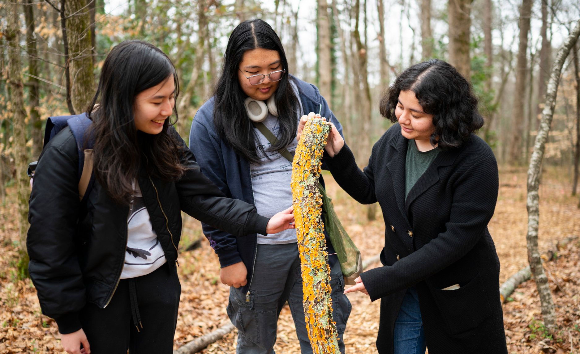 Photo of Mycology Club members examining fungi.